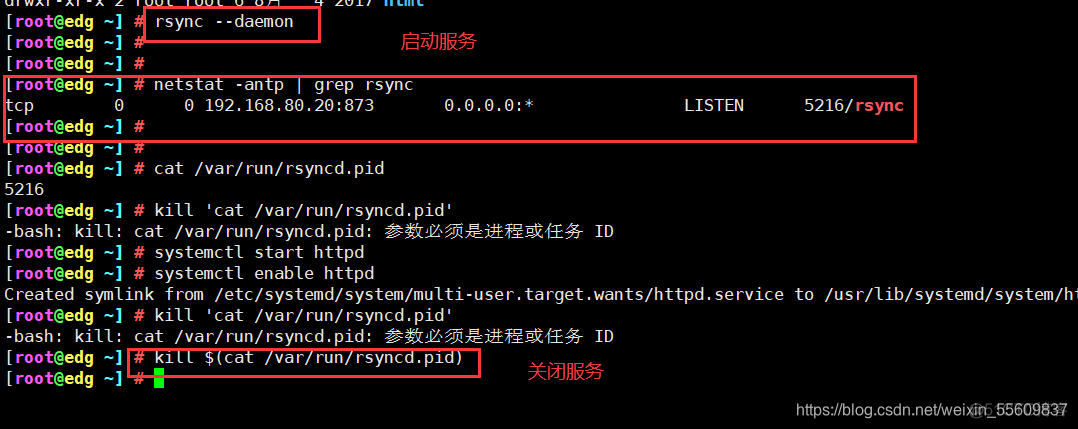 rsync只备份文件 rsync远程备份_html_05