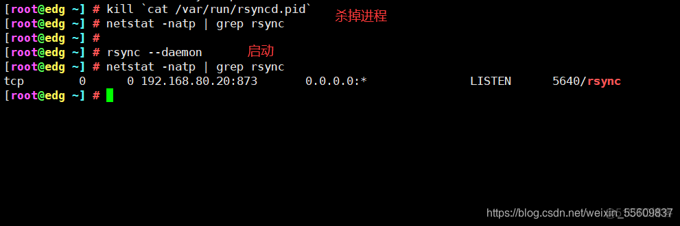 rsync只备份文件 rsync远程备份_vim_14