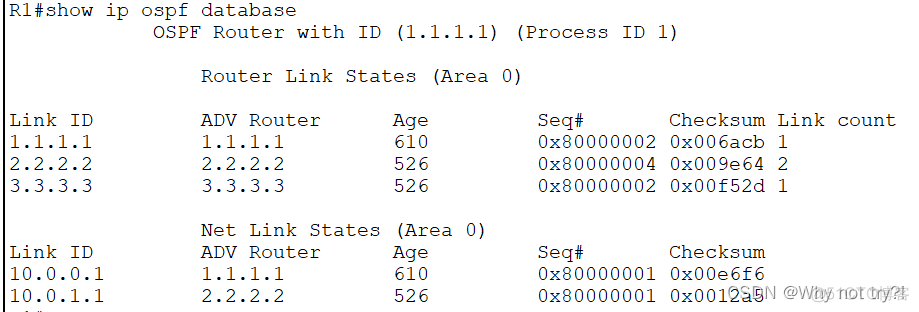 ospf区域的概念 ospf的区域类型_ospf区域的概念_09