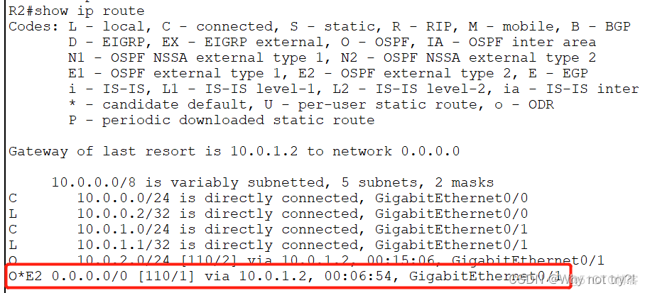 ospf区域的概念 ospf的区域类型_运维_16