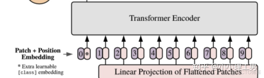 cnn resize 变形 transformer+cnn_机器学习_05