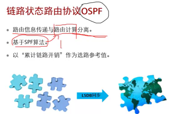 ospf中state显示full ospf处于init_网络类型_04