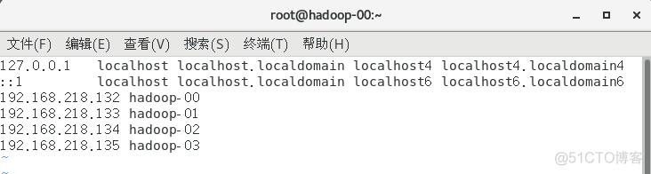 虚拟机搭建HDFS 虚拟机搭建hadoop_大数据_13