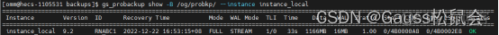 gs_probackup 参数详解compress gs-gaspro_服务器_02