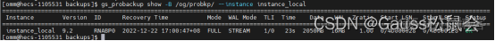 gs_probackup 参数详解compress gs-gaspro_数据库_04