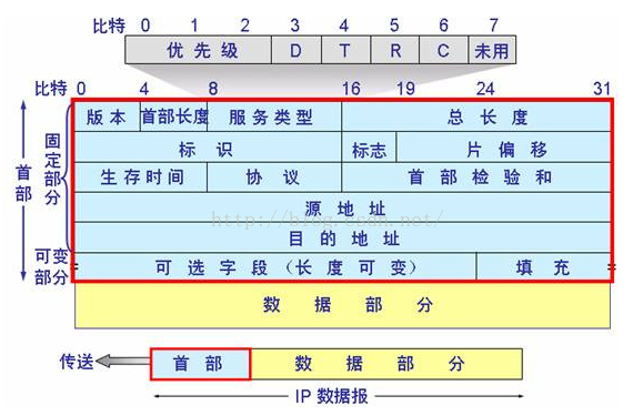 wireshark sip协议解读 wireshark ip协议分析_IP_02