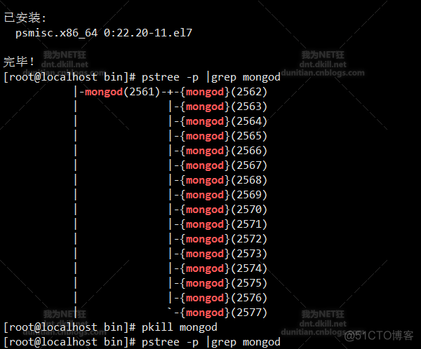 centos查看mongo有没有启动 linux查看mongodb安装路径_linux mongdb 安装目录_17