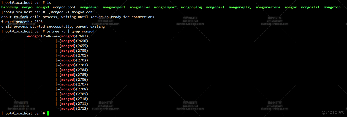 centos查看mongo有没有启动 linux查看mongodb安装路径_离线安装_21