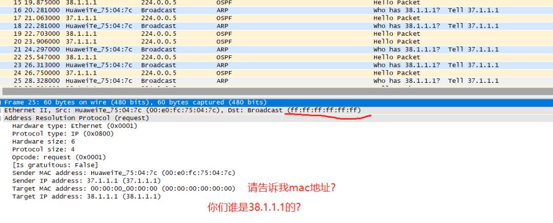 ospf邻居状态一直是exsta ospf邻居状态为full_ping不通网关 抓包正常_06