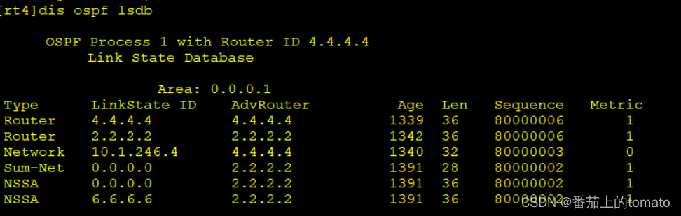 ospf 4 类LSA ospf4类lsa泛洪范围_缺省路由_08