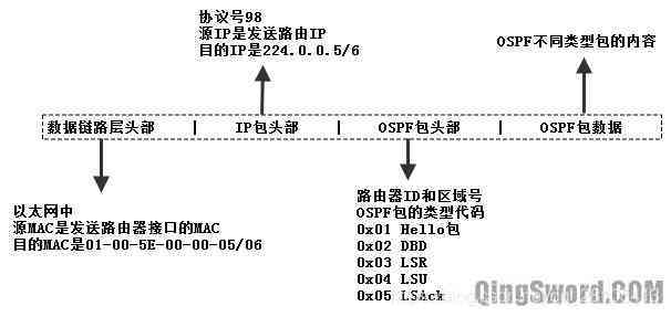 OSPF三张表指的是哪三张表 ospf的三张表的功能_OSPF三张表指的是哪三张表_04