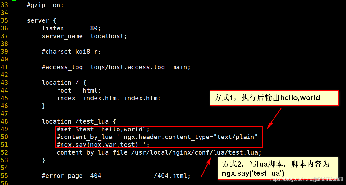 lua 脚本获取nginx url nginx执行lua脚本_nginx_02