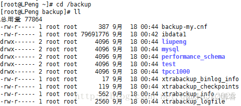 esxi 精简转厚置备 esxi如何备份_数据库_03