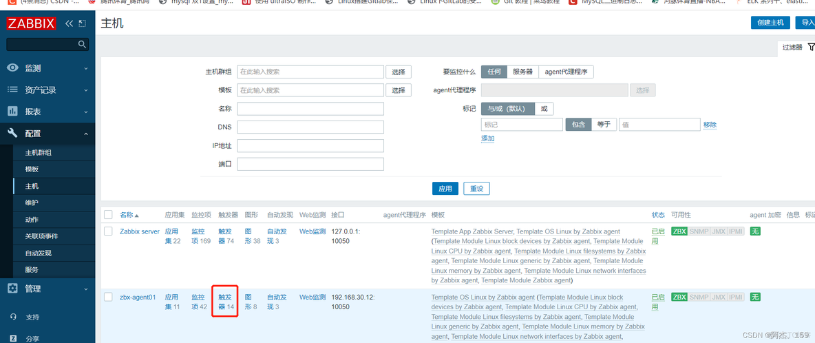 zabbix分离式部署 zabbix分布式集群_自定义_26