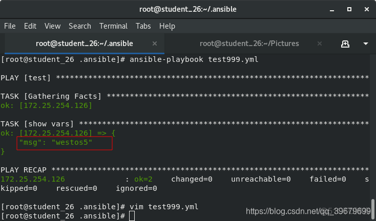 ansible免密登录命令 ansible_user ansible_password_下划线_02