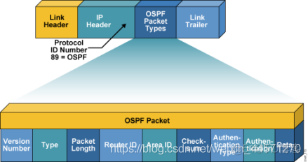 ospf的dn ospf的dn置位_ospf的dn_02