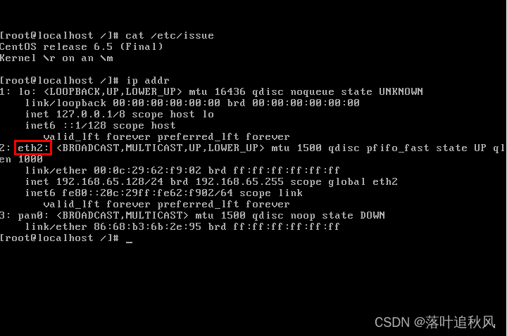 centos8查看出口ip centos8怎么查看ip_当前目录_02