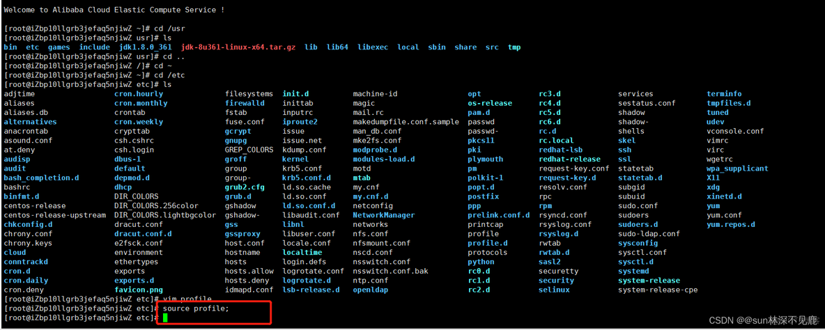 springboot 微服务服务器 热部署 服务器部署springboot项目_阿里云服务器_27