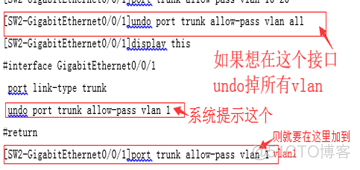 说5500多vlan DNS vlanid 1_封装_03