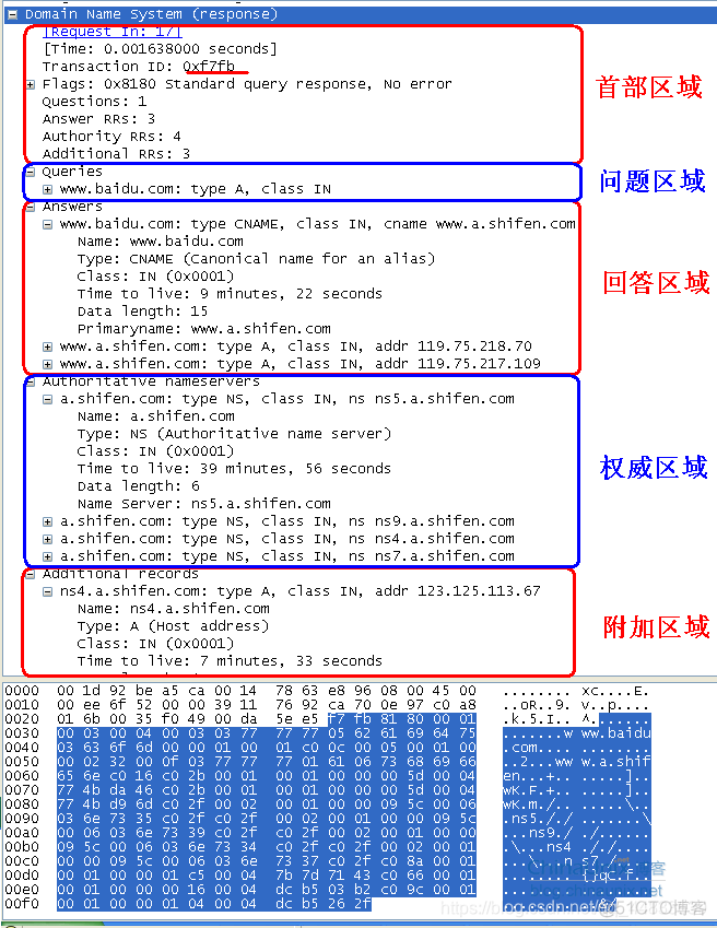 wireshark dns请求分析 wireshark dns解析_DNS_14