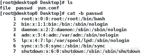 虚拟机打开wireshark 虚拟机打开文件命令_虚拟机打开wireshark_22