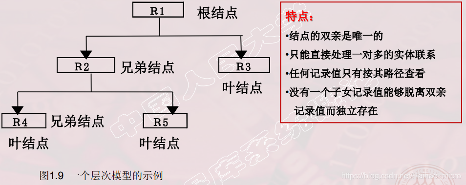 层次数据库 层次数据库的特点_层次数据库