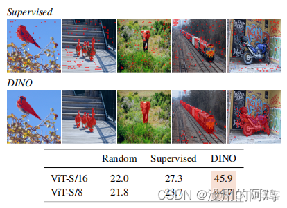 如何用自监督学习算法训练自己数据 自我监督方法_深度学习_33