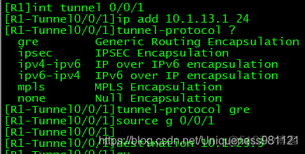 enspgre隧道配置案例 ensp隧道协议配置_IP_07