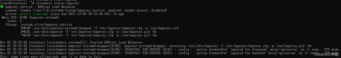 haproxy 模板 haproxy详解_数据_02