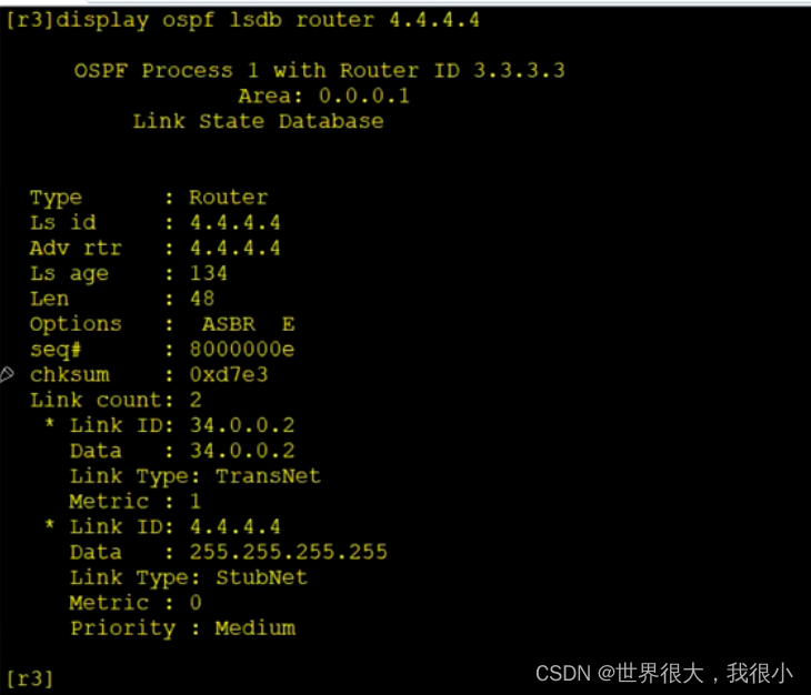 常用OSPF真实实例 ospf常用的lsa_OSPF_02