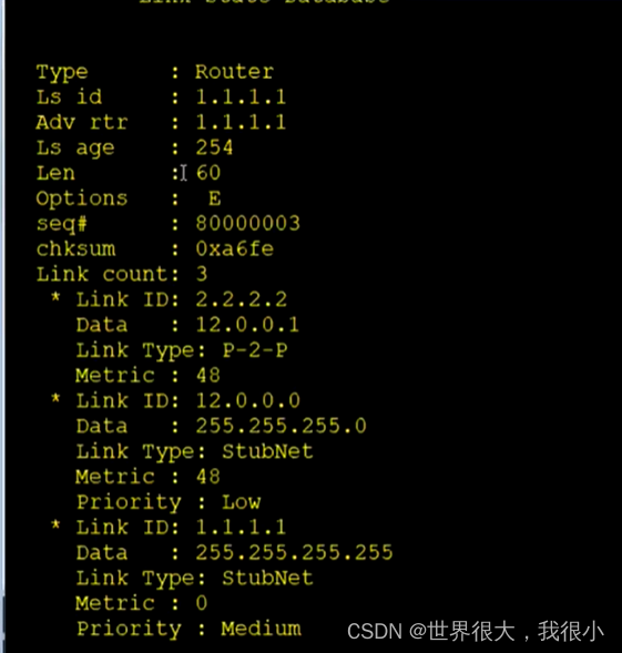 常用OSPF真实实例 ospf常用的lsa_OSPF_06