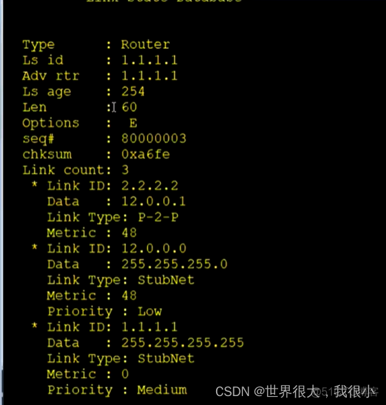 常用OSPF真实实例 ospf常用的lsa_常用OSPF真实实例_06