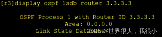 常用OSPF真实实例 ospf常用的lsa_链路_15