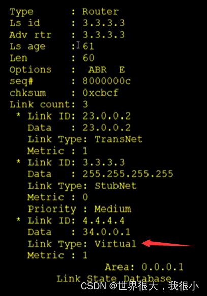 常用OSPF真实实例 ospf常用的lsa_常用OSPF真实实例_16