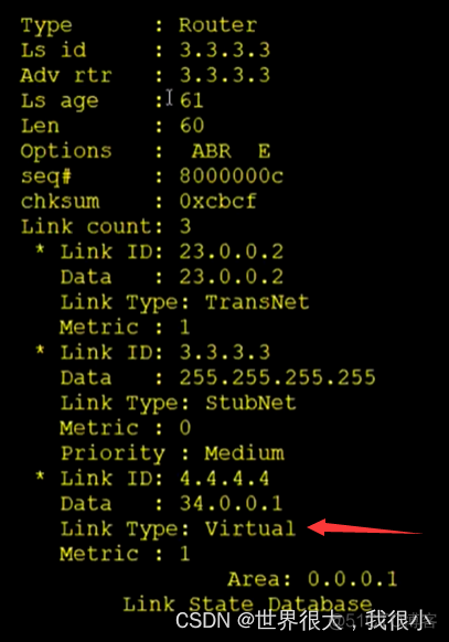 常用OSPF真实实例 ospf常用的lsa_链路_16