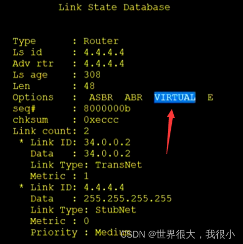 常用OSPF真实实例 ospf常用的lsa_常用OSPF真实实例_18