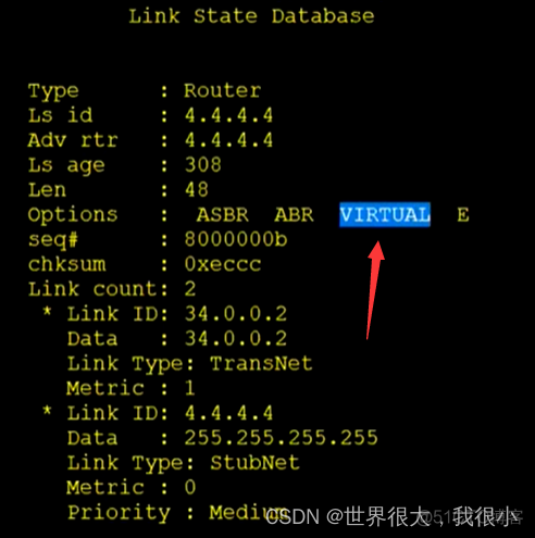 常用OSPF真实实例 ospf常用的lsa_OSPF_18