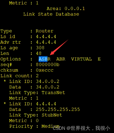 常用OSPF真实实例 ospf常用的lsa_OSPF_19