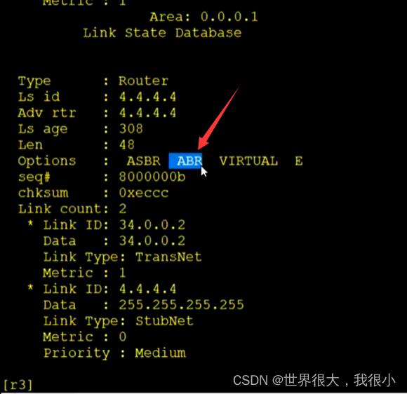 常用OSPF真实实例 ospf常用的lsa_序列号_20