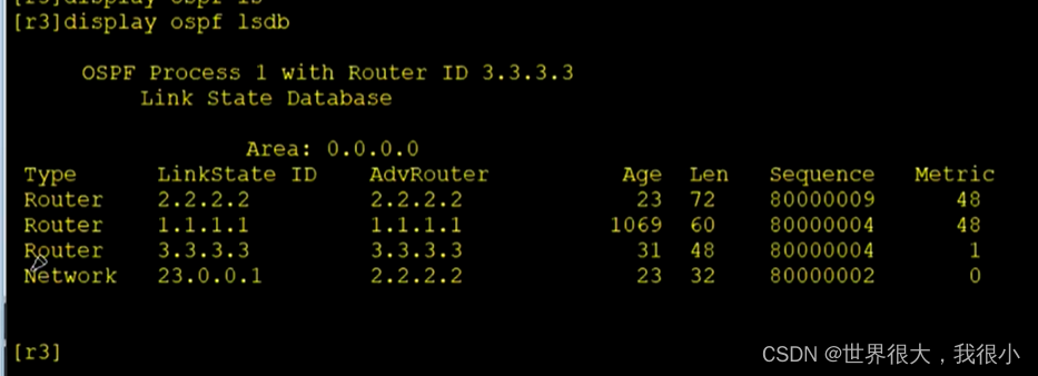 常用OSPF真实实例 ospf常用的lsa_序列号_22