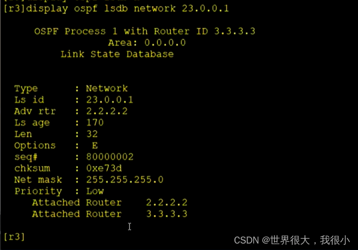 常用OSPF真实实例 ospf常用的lsa_OSPF_24