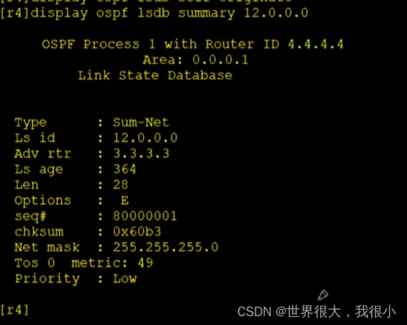 常用OSPF真实实例 ospf常用的lsa_OSPF_27