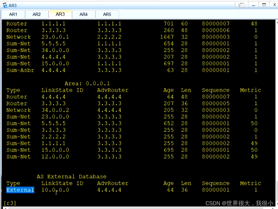 常用OSPF真实实例 ospf常用的lsa_OSPF_31