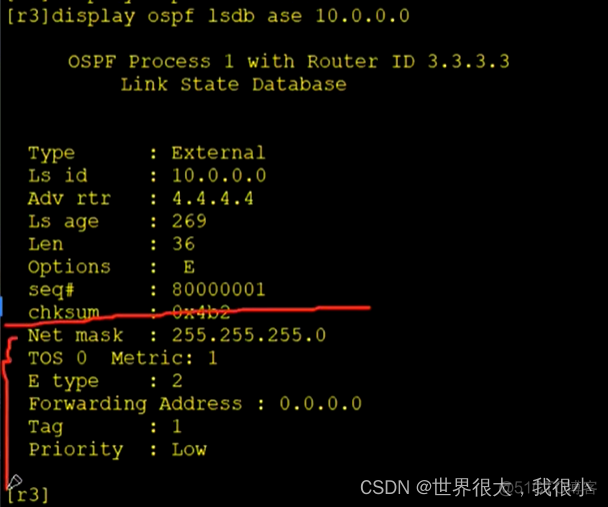 常用OSPF真实实例 ospf常用的lsa_OSPF_32