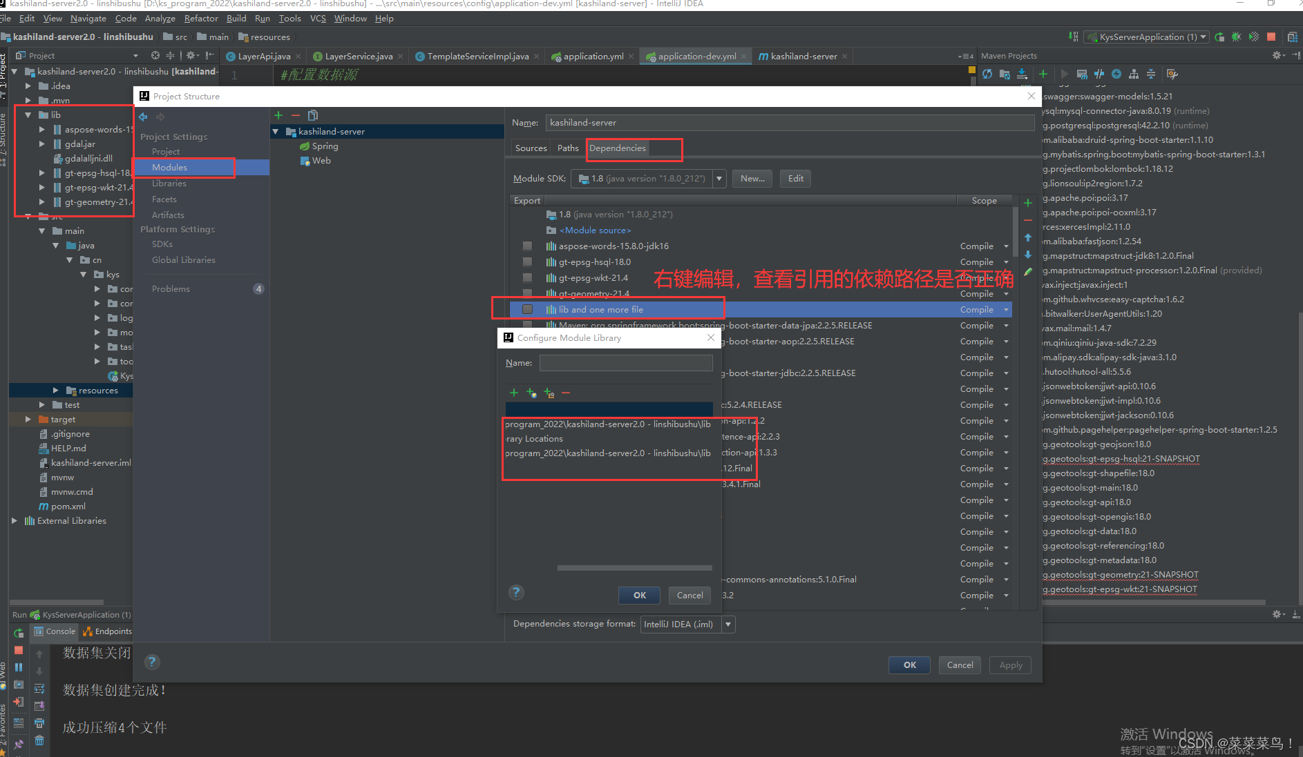 springboot 调用dll 导致程序崩掉 springboot集成dll_后端_09