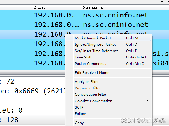 Wireshark 分析 tcpdump wireshark 分析工具_字段_12