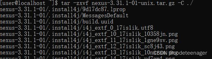 nexus搭建yum仓库 nexus搭建npm私有仓库_npm_04