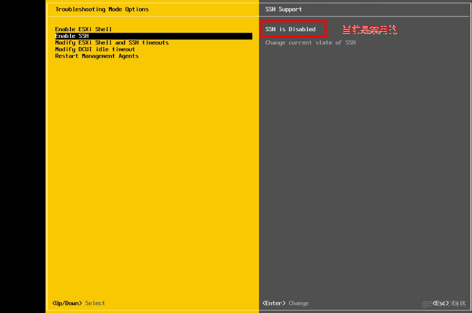 VMware vSphere ESXi 开启主机SSH服务_Sphere Host Client_05