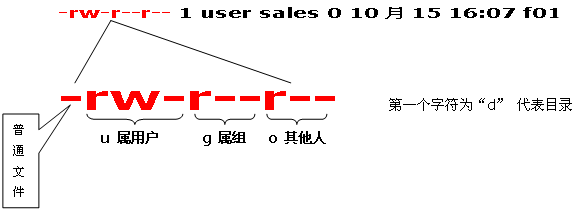 常用命令--chmod--chown--区别_子目录