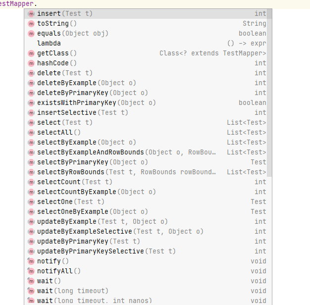 springboot 整合 tk.mybatis 快速实现 增删改查_Test